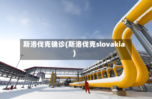 斯洛伐克确诊(斯洛伐克slovakia)