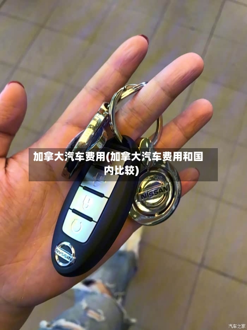 加拿大汽车费用(加拿大汽车费用和国内比较)-第2张图片