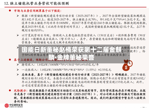 国能日新董秘赵楠荣获第十二届金麒麟·金牌董秘荣誉-第2张图片