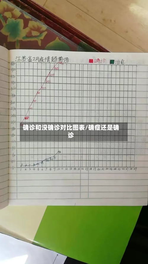 确诊和没确诊对比图表/确症还是确诊-第3张图片