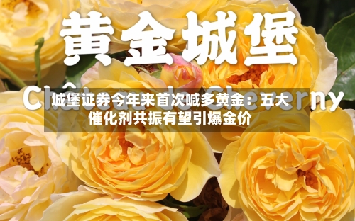 城堡证券今年来首次喊多黄金:五大催化剂共振有望引爆金价-第2张图片