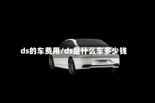 ds的车费用/ds是什么车多少钱-第3张图片