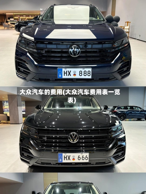 大众汽车的费用(大众汽车费用表一览表)