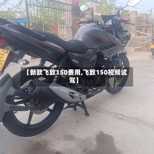 【新款飞致150费用,飞致150视频试驾】-第2张图片