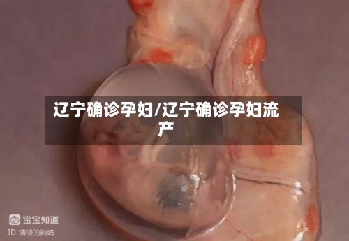 辽宁确诊孕妇/辽宁确诊孕妇流产-第2张图片