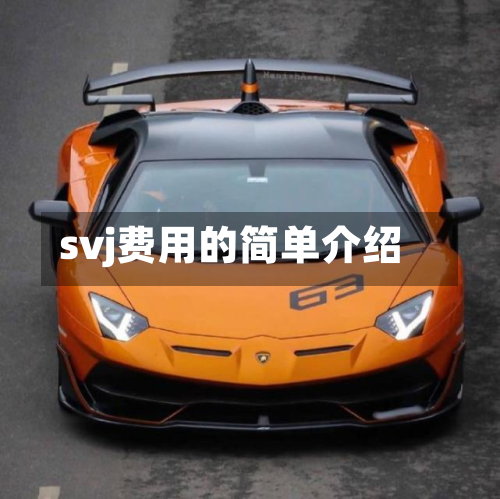 svj费用的简单介绍