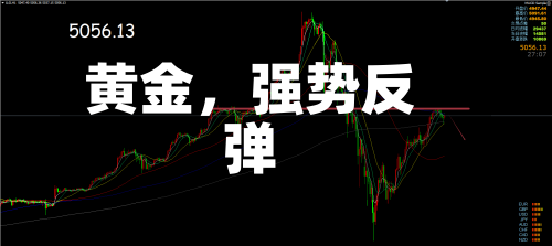 黄金，强势反弹-第2张图片