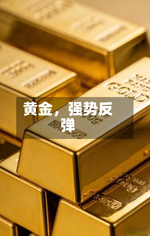黄金	，强势反弹-第3张图片