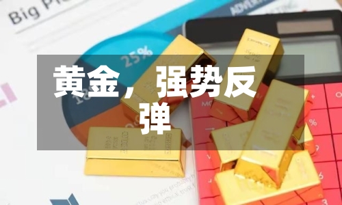 黄金，强势反弹-第1张图片
