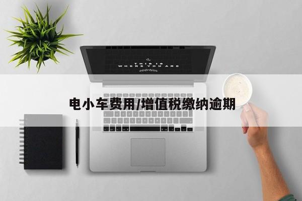 电小车费用/增值税缴纳逾期