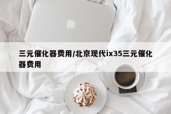 三元催化器费用/北京现代ix35三元催化器费用