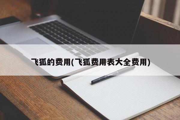 飞狐的费用(飞狐费用表大全费用)