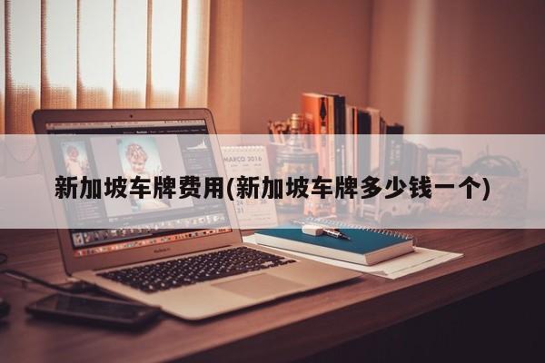 新加坡车牌费用(新加坡车牌多少钱一个)