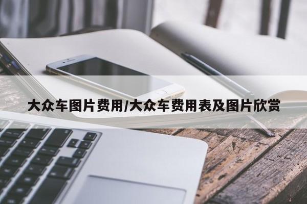 大众车图片费用/大众车费用表及图片欣赏